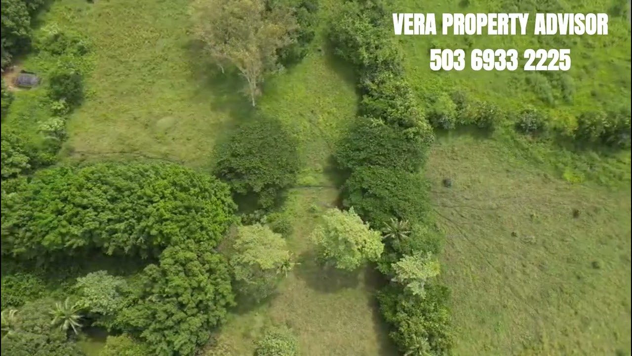 🌽🚜¡GRAN OPORTUNIDAD DE INVERSIÓN EN NUEVA CONCEPCIÓN! 📍