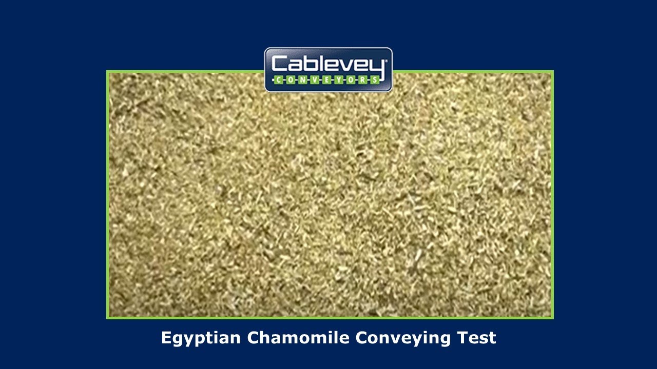 Cablevey® Conveyors - Egyptian Chamomile