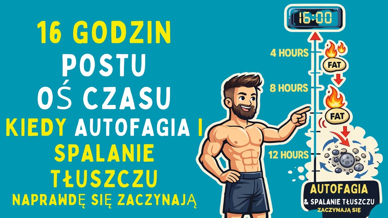 Oś czasu postu: kiedy naprawdę zaczyna się autofagia i spalanie tłuszczu
