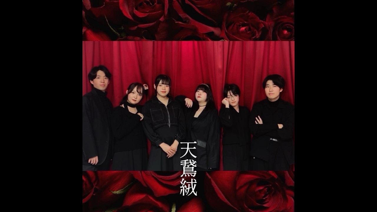 天鵞絨/ ROSE