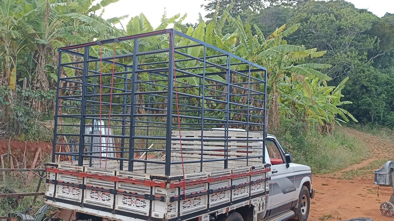 Terminei de fazer e pintar  gaiola ou gaiolão de carregar boi na D20