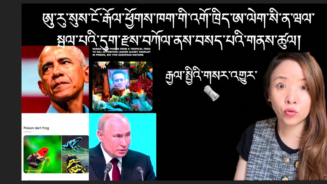 རྒྱལ་སྤྱིའི་གསར་འགྱུར།International Breaking News 🗞️ 15 February  2026