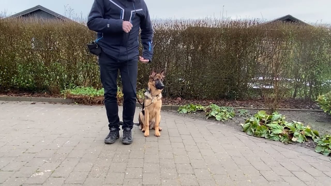 Start på plads kommando