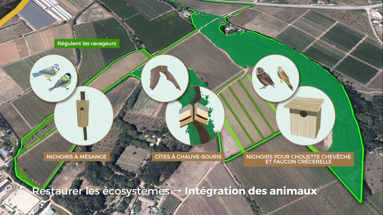 Famille Gassier Agriculture Regenerative 3D FRA