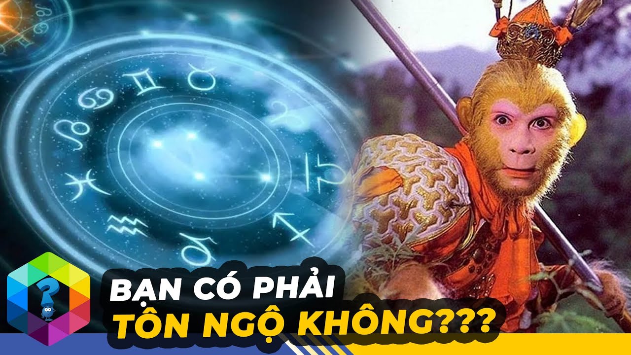 12 Cung Hoàng Đạo Là Nhân Vật Nào Trong Tây Du Ký? - Top 1 Khám Phá