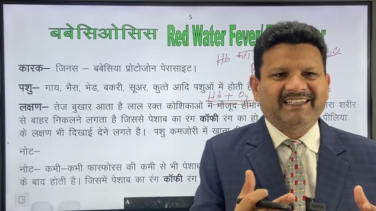 Red water l Babesiosis in animals l Treatment of babesiosis l Tick fever l Dr Umar Khan