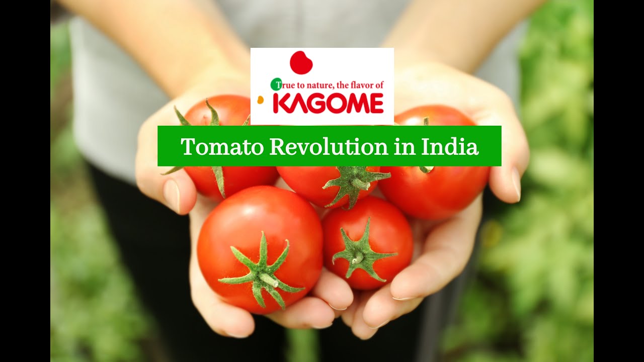 Tomato Revolution in India by Kagome Foods India - Japan's No. 1 Tomato Company since 1899
