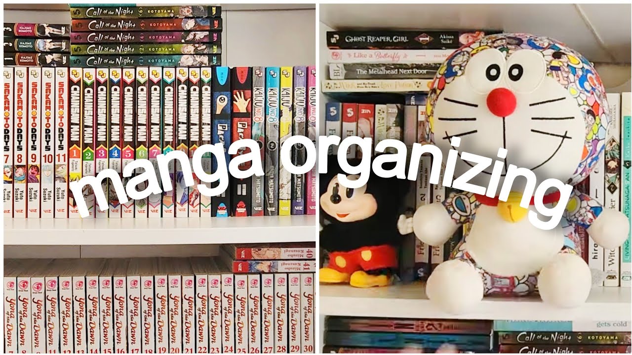 Organize my manga shelf with me & chill..