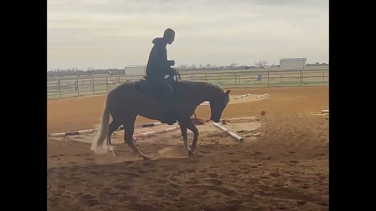 Machine made mare 
