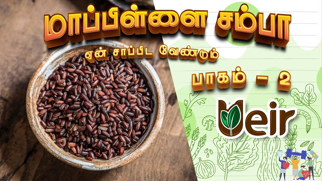 மாப்பிள்ளை சம்பா ஏன் சாப்பிட வேண்டும் 2 / தெரிந்து கொள்ள வேண்டிய தகவல்கள் | Ueir Organic Foods