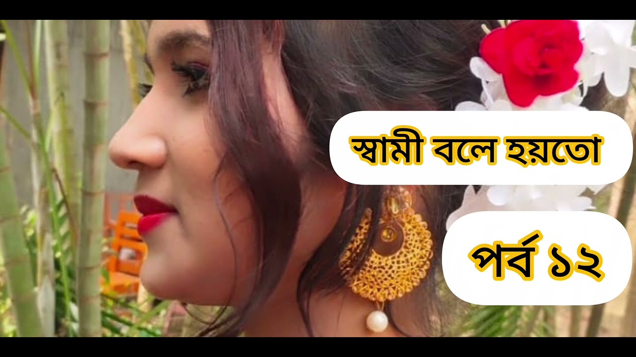 স্বামী বলে হয়তো উপন্যাস পর্ব/ ১২