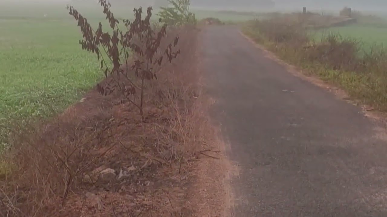 ⭐  🚴&zwj;♂️ | Cycling Through Kerala&rsquo;s Paddy Paradise