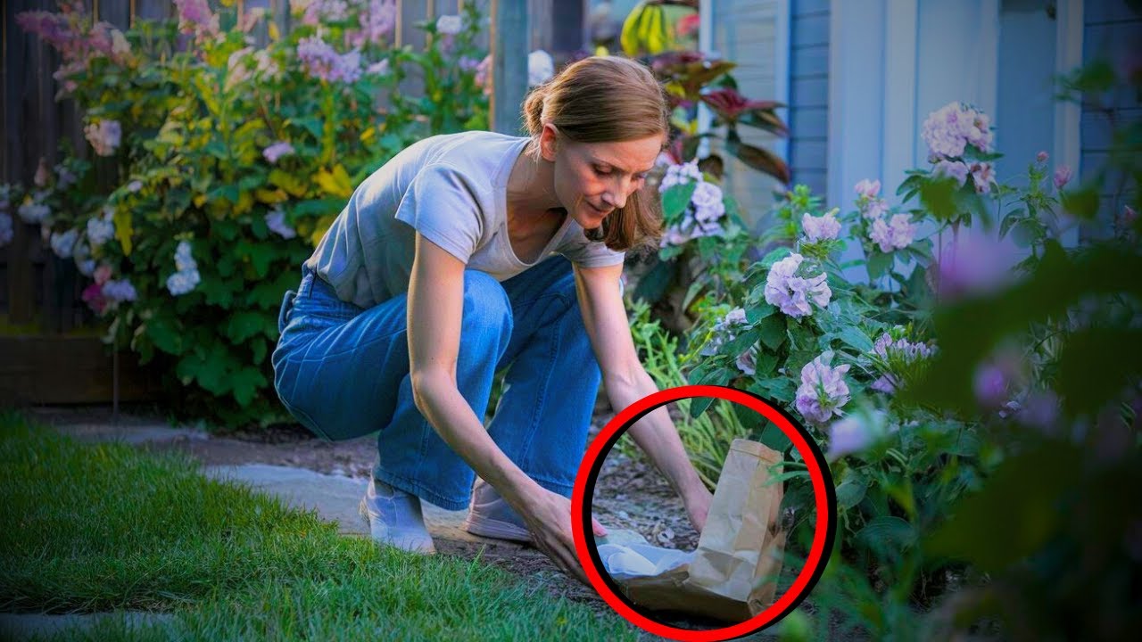 A Simple Woman Had Enough of Karen Trespassing Her Backyard&mdash;So She Makes Her Regret It!