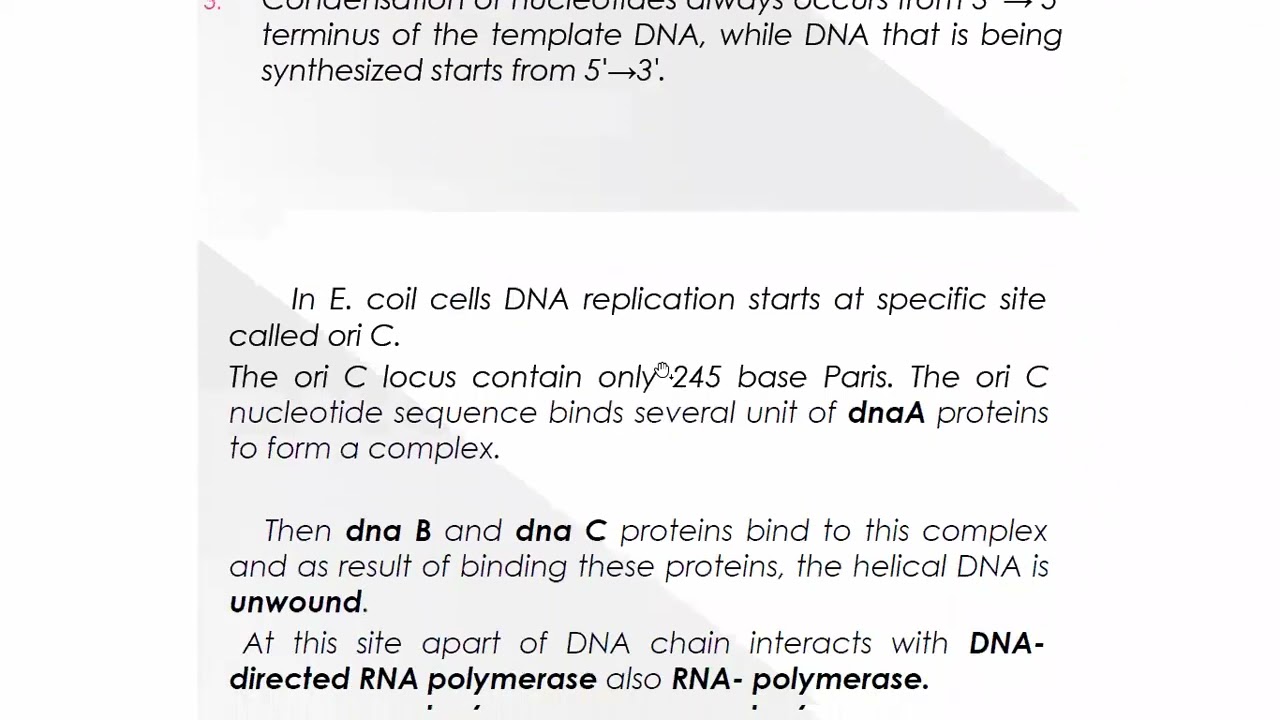 University of Basra - College of Medicine - 2nd stage - Biochemistry - DNA and Replication 44