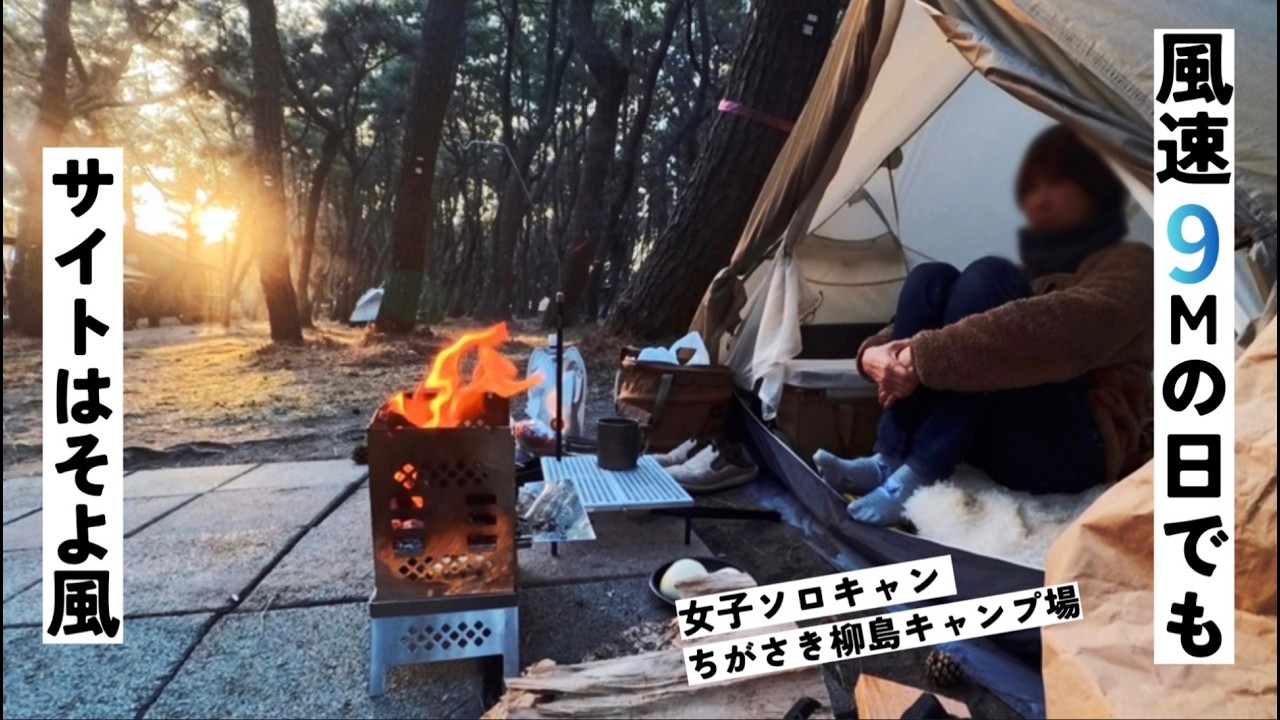 【ちがさき柳島キャンプ場】松林に守られ風速9メートルの日でも焚き火出来たよ【女子ソロキャン】
