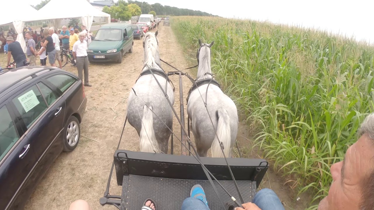 Fijakerijada, Batajnica 28.07.2019