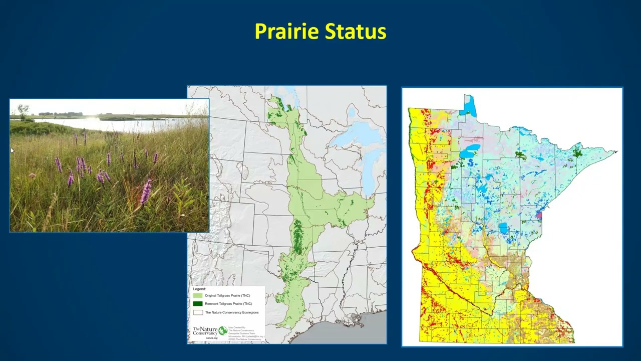 Michael Worland, DNR:  Insect Surveys and Improving Pollinator Habitat in Your Yard.