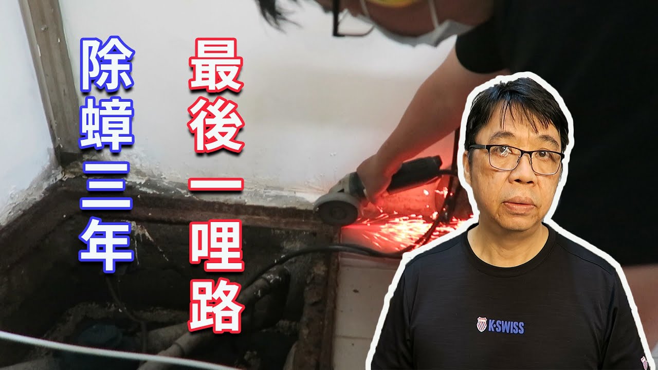 三年來蟑螂幾乎都沒了, 再補上最後一刀然後就再見了  海賊王diy日記