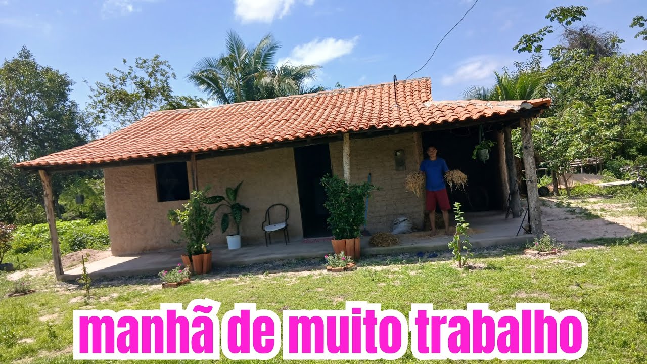 Manhã de muito trabalho na casinha de taipa 