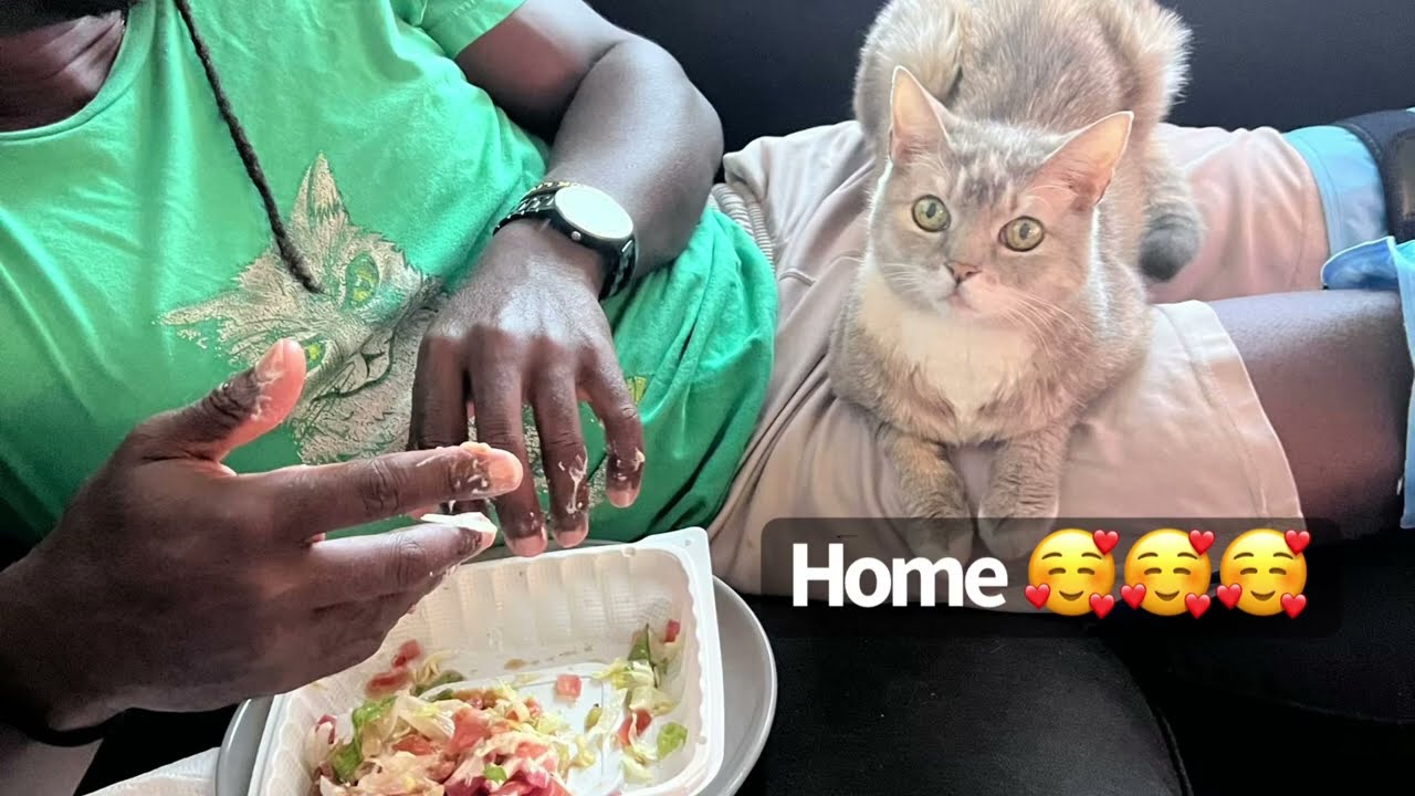 All Done Daphne, Now Home! | BilliSpeaks