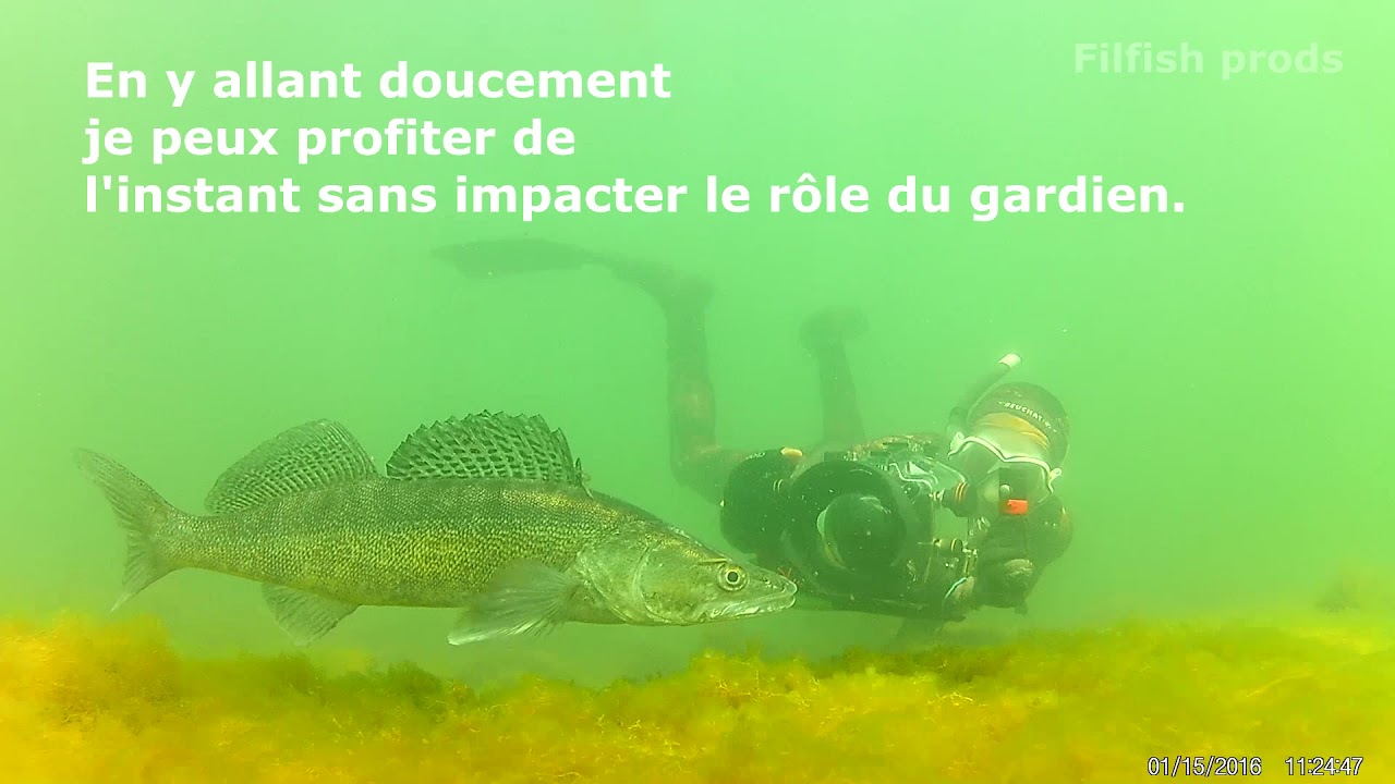 Le gardien patient