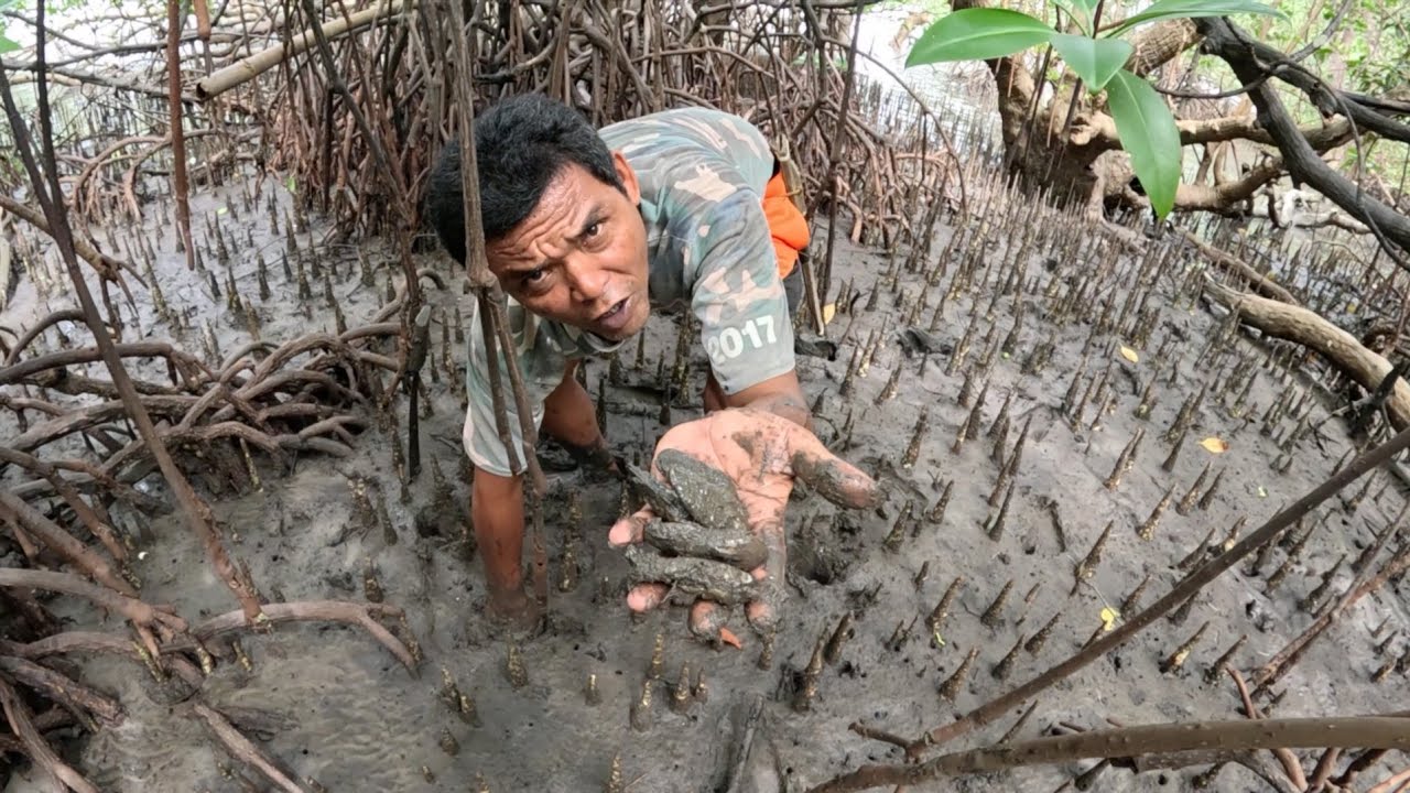 ISA SA MASARAP NA SHELL SA TABING DAGAT