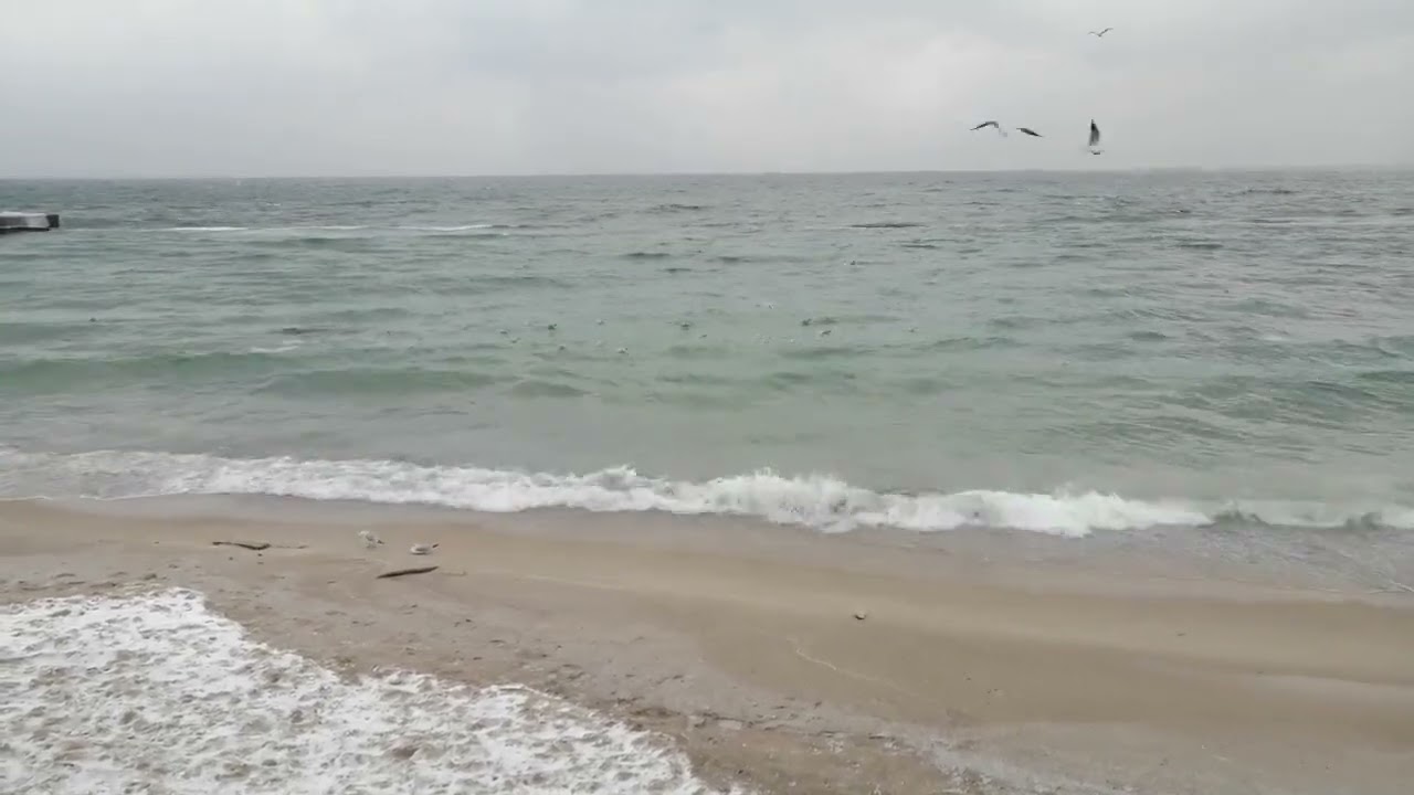 Звуки моря та хвиль 🌊 🎧 для зниження тиску та медитації! 🎁🌹🌊