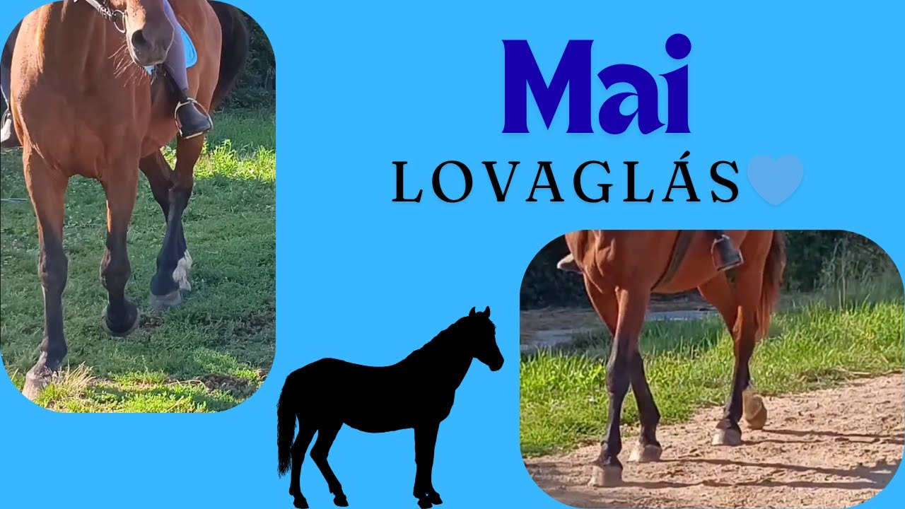 Mai lovaglás💙