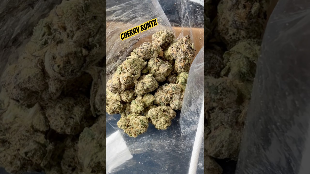 Cherry Runtz strain review