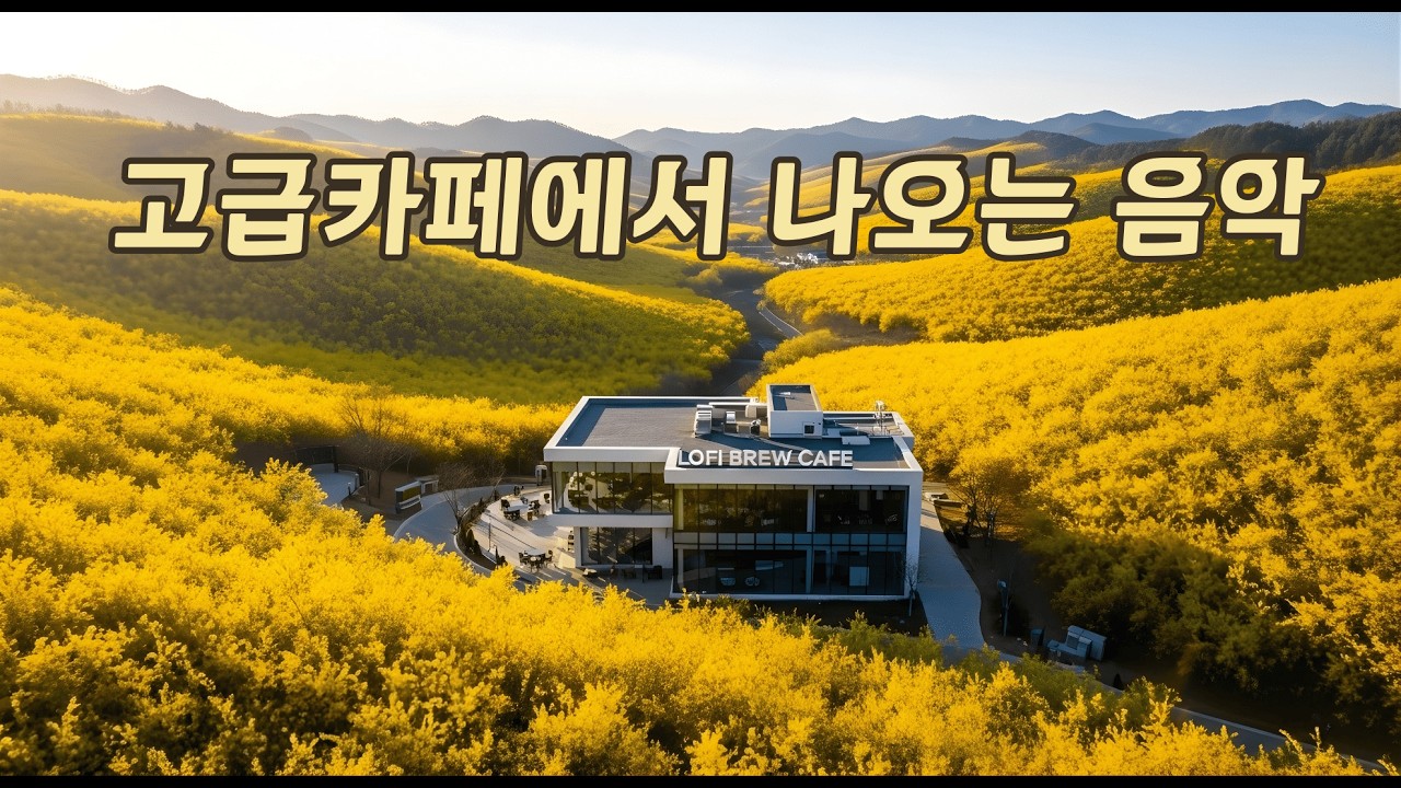 ☕ 고급카페에서 나오는 음악 | 🌸 따뜻한 봄 카페 Study Work Focus Music 🎧 |  중간광고없음🔕