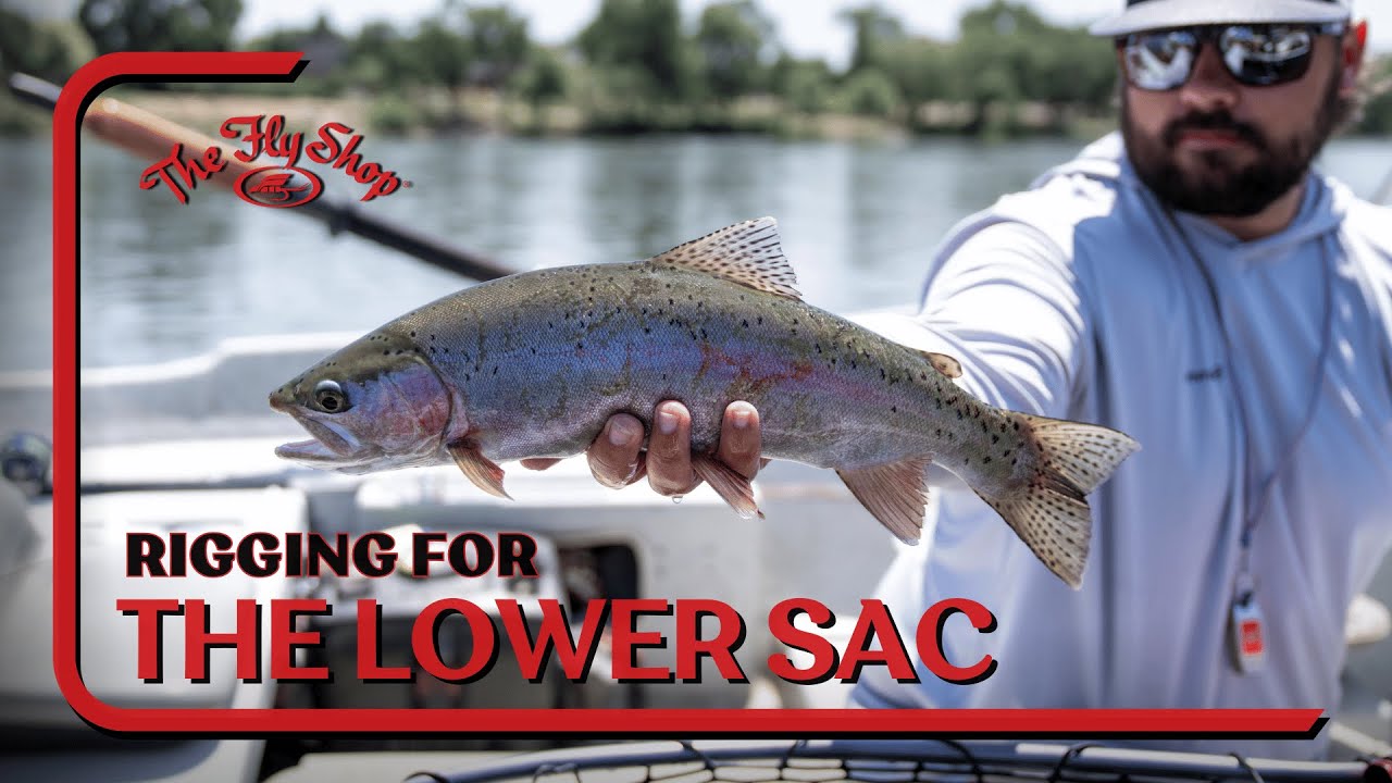 Rigging For Fly Fishing The Lower Sacramento River