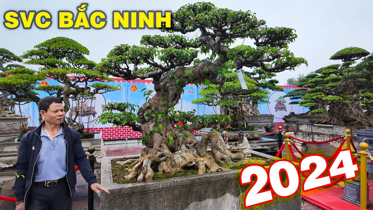 Tôi nhỏ bé giữa Dàn Siêu Cây Cảnh triển lãm Bắc Ninh 2024