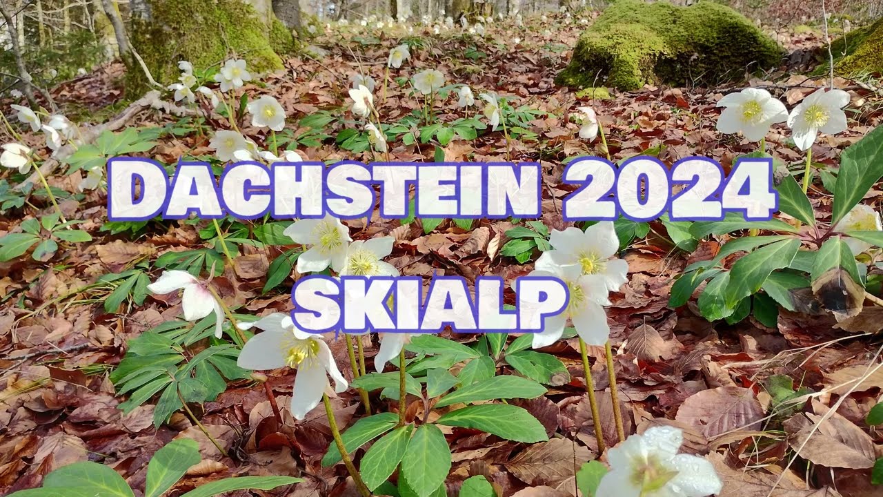 Dachstein 2024 skialp