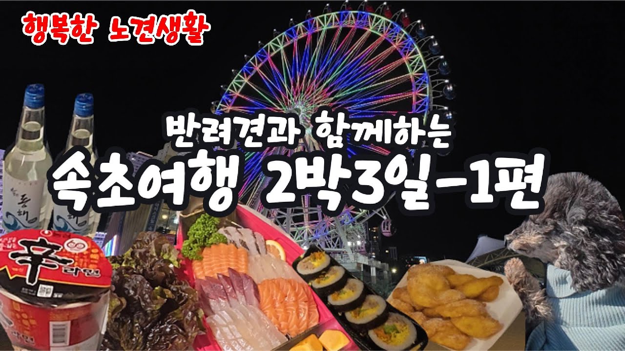 “출발 →속초 마리비스타 체크인 → 회에 동해소주까지… 첫날부터 행복만땅🤯”