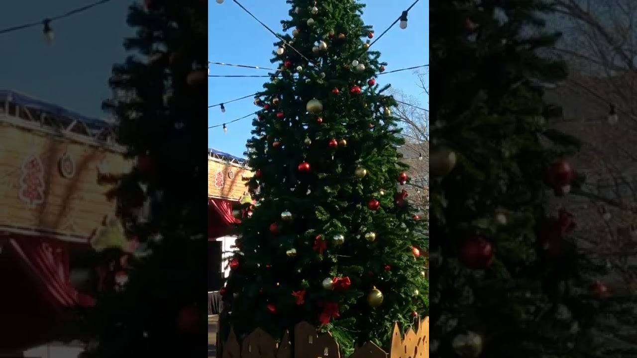 Este es un mercado navideño de Europa del este | Conociendo Sofia, Bulgaria