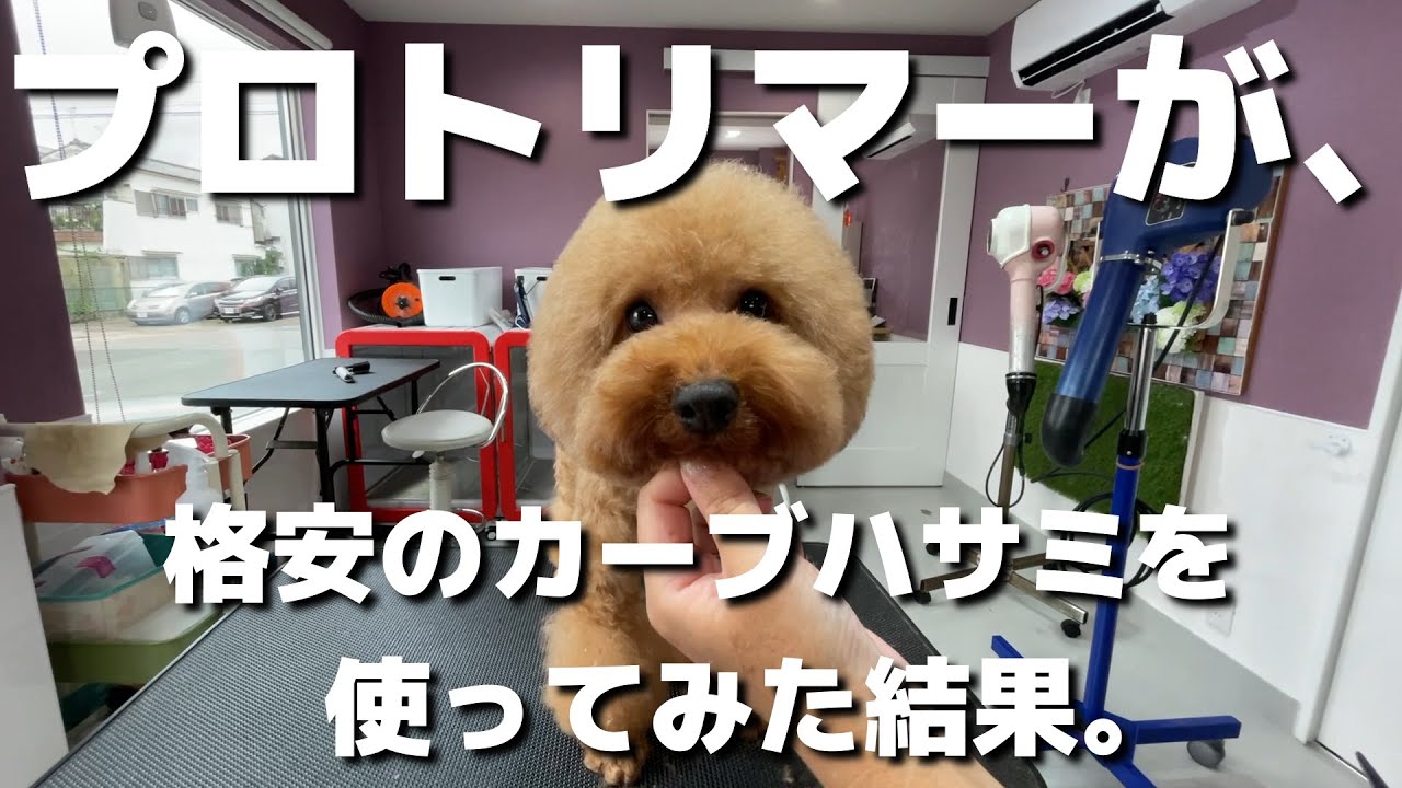 プロトリマーが、格安カーブバサミを使ってみた結果。【京都市南区　ペットサロンみぃ〜】