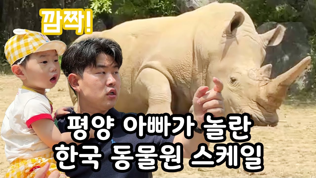 서울대공원 처음 가본 평양 아빠의 충격 반응