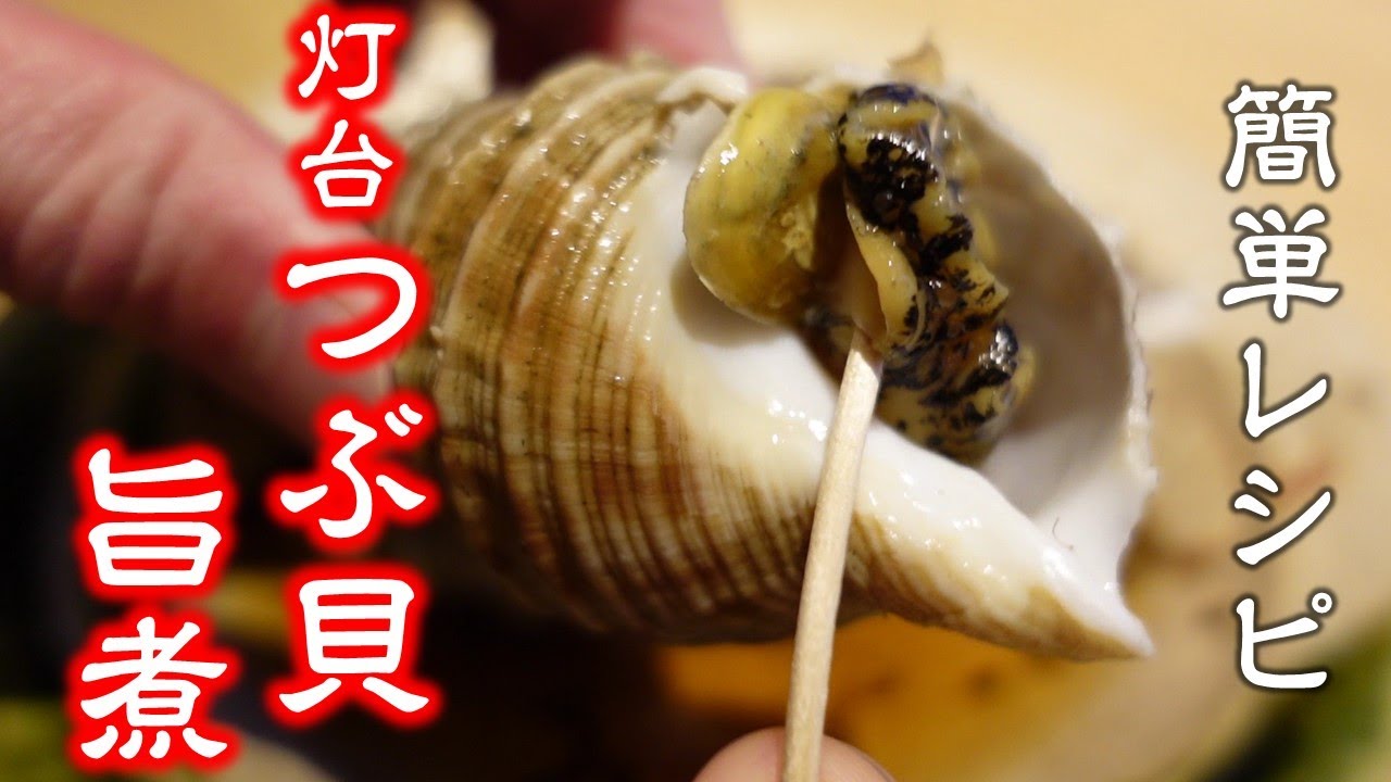 簡単【灯台つぶ貝の旨煮】作り方・食べ方