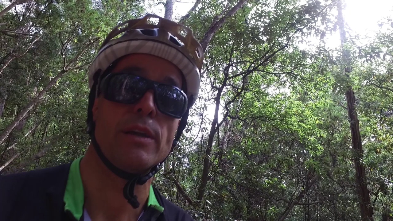 Trail Culture Tips- Vision