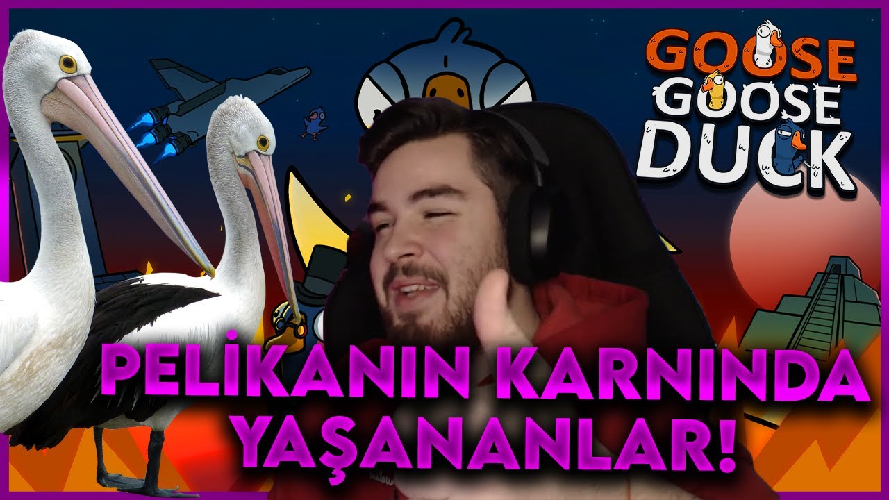 PELİKANIN KARNINDA YAŞANANLAR! | Goose Goose Duck