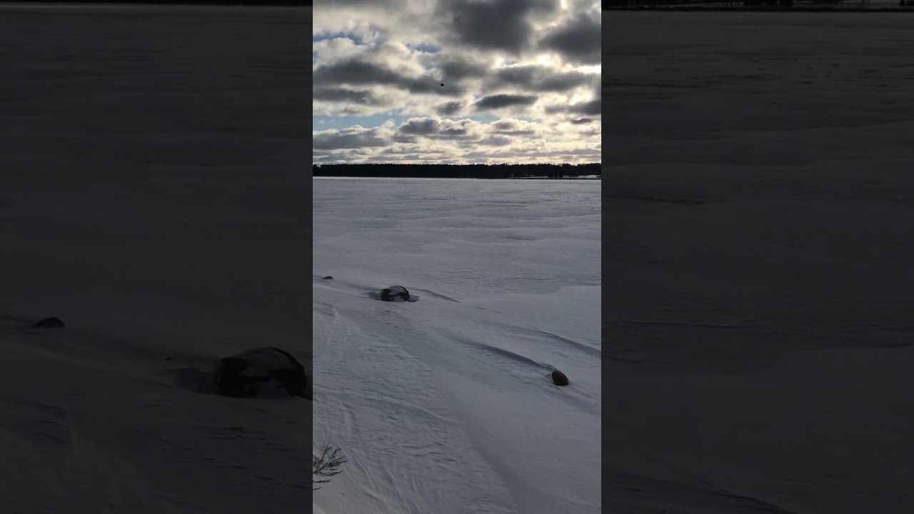 Прогулка по  берегу водохранилища