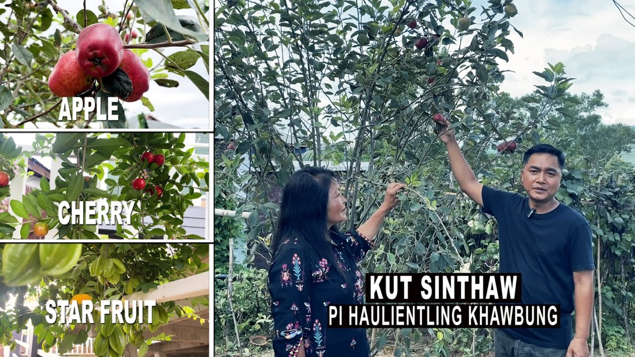 KUT SINTHAW: Pi Haulientling Khawbung || Fruits & Vegetable