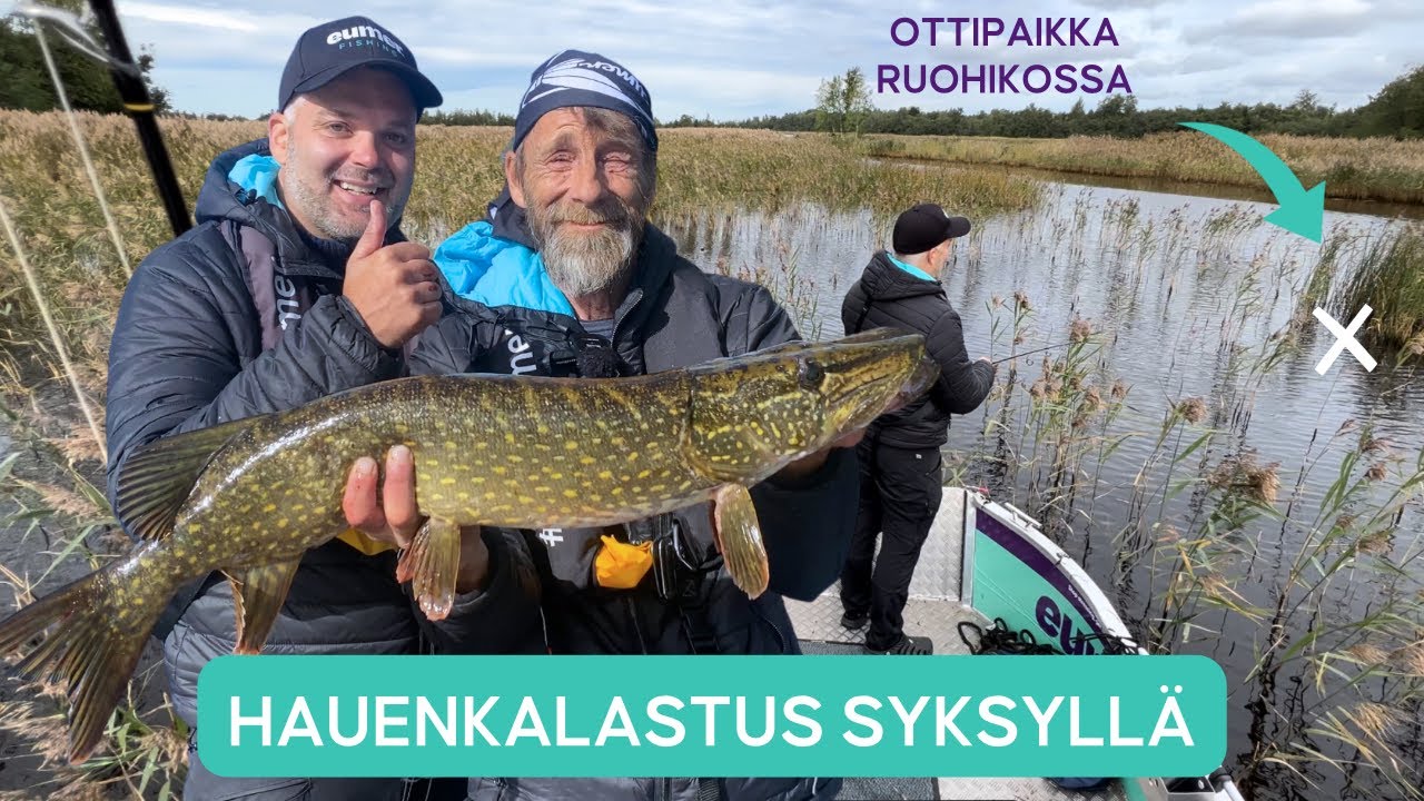 Pyydä HAUKEA Heinikosta ja Onnistu - Parhaat Vinkit Syksyn Haukisesonkiin - Hauen Kalastus • Hauki