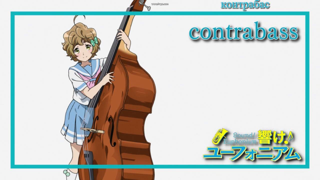 Hibike Euphonium Eyecatch 11 ep Sapphire Kawashima Double Bass