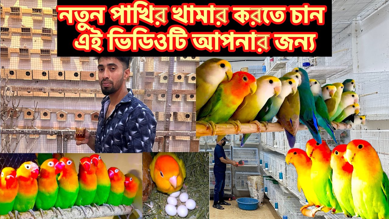 নতুন করে পাখির খামার শুরু করতে চান? এই ভিডিওটি আপনার জন্য | birds farm information for Bangla