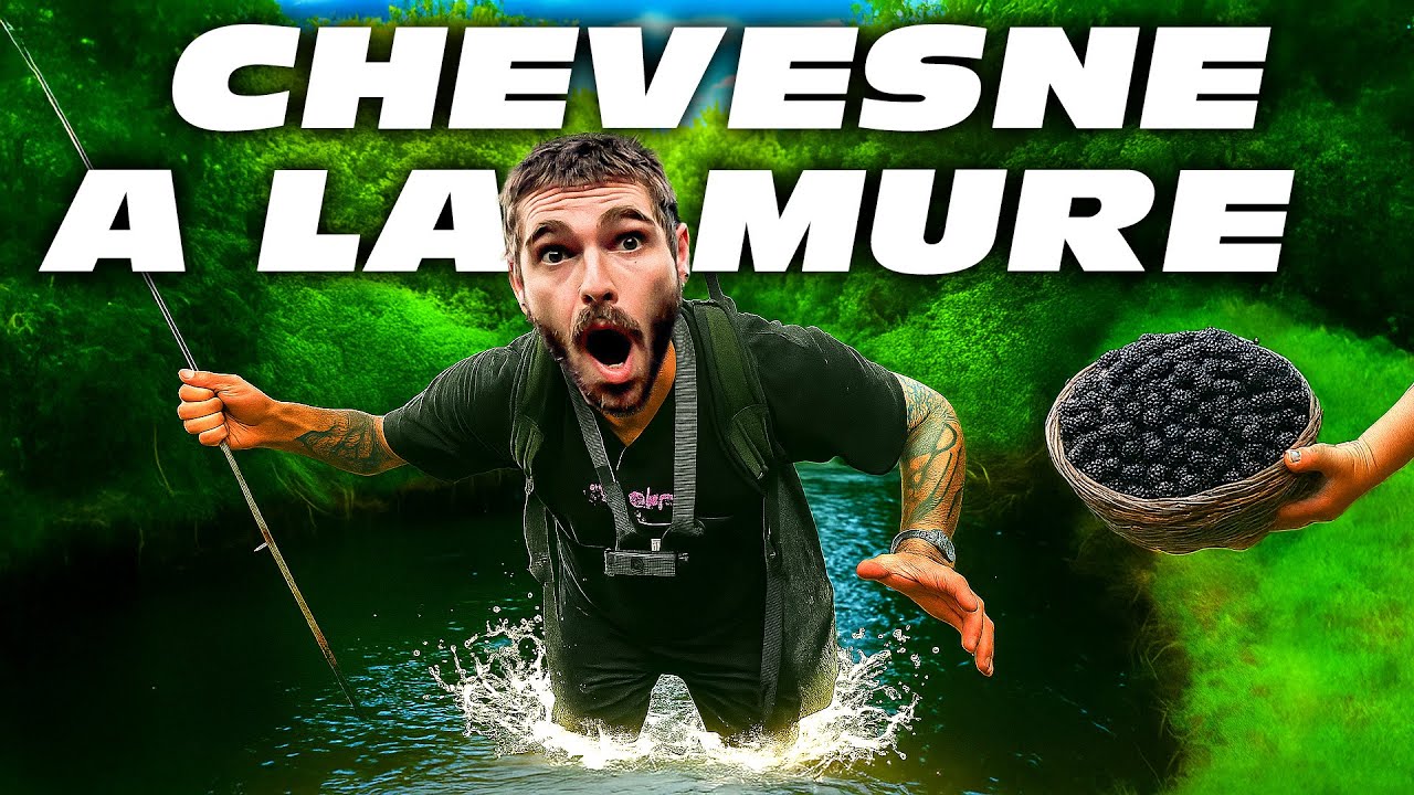 P&ecirc;che du Chevesne &agrave; Vue &agrave; la Mure. Je finis &agrave; l'eau mdr