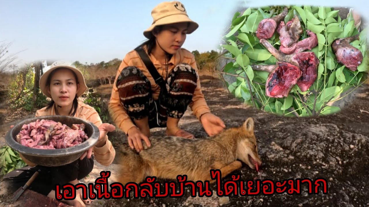 เอาเนื้อหมาป่ากลับบ้านหมานๆรอบนี้/ຫມານໆ6 มีนาคม ค.ศ. 2026