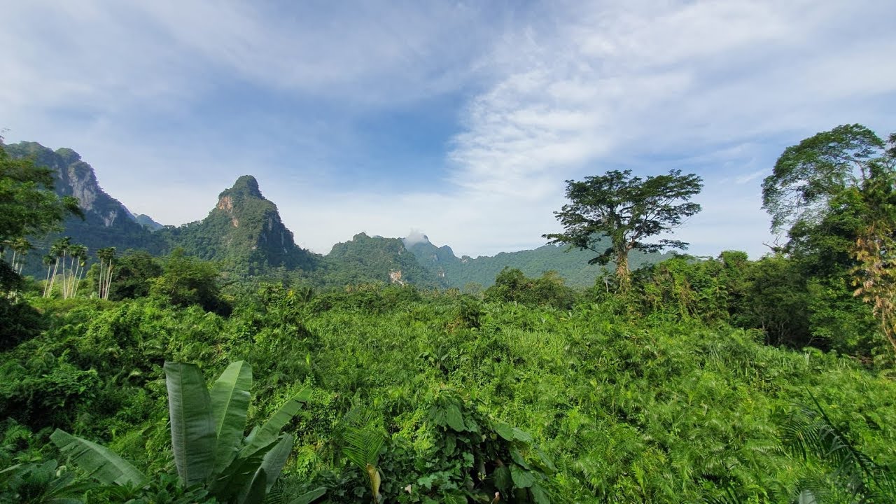 Welcome to Anurak Lodge | Khao Sok National Park