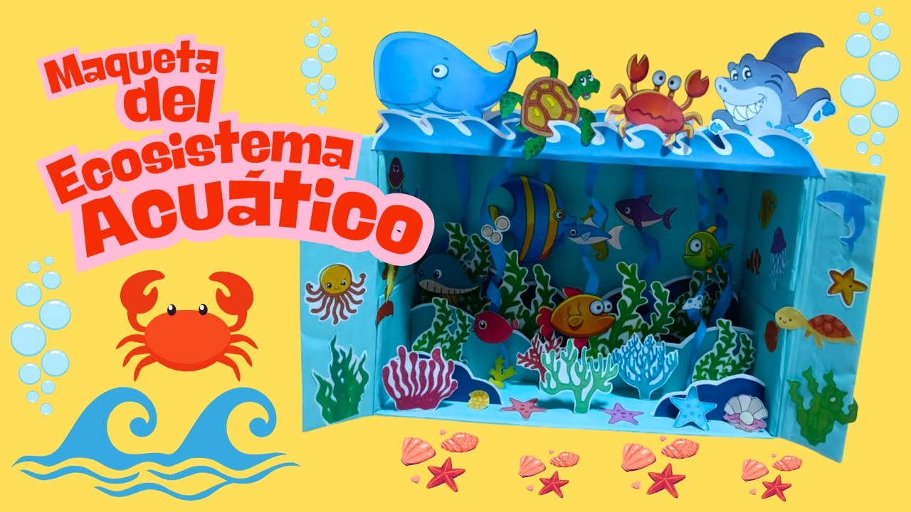 Como hacer una Maqueta del Ecosistema Acuático...!!