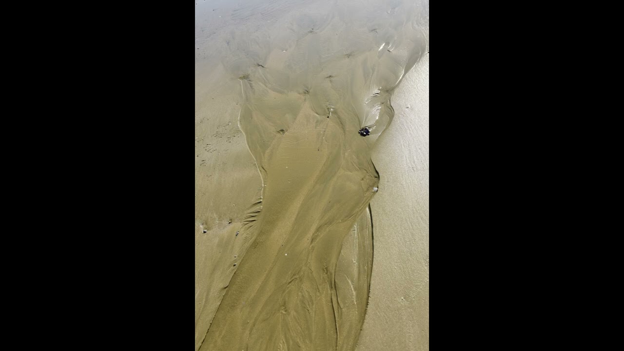1차전시회최종 팝송202602 04 0